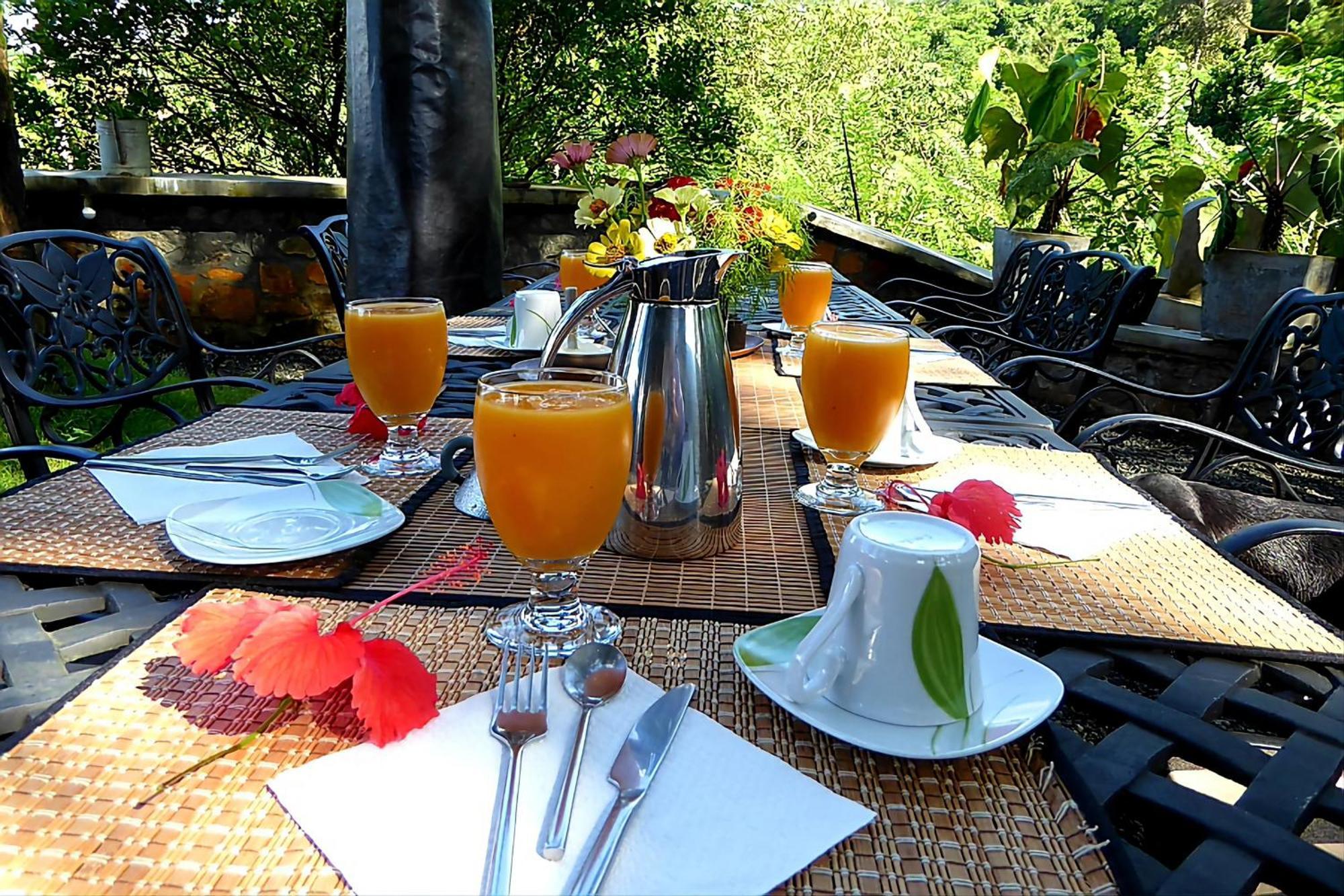 Singharaja Garden Agro Eco Lodge Pelawatta  Dış mekan fotoğraf
