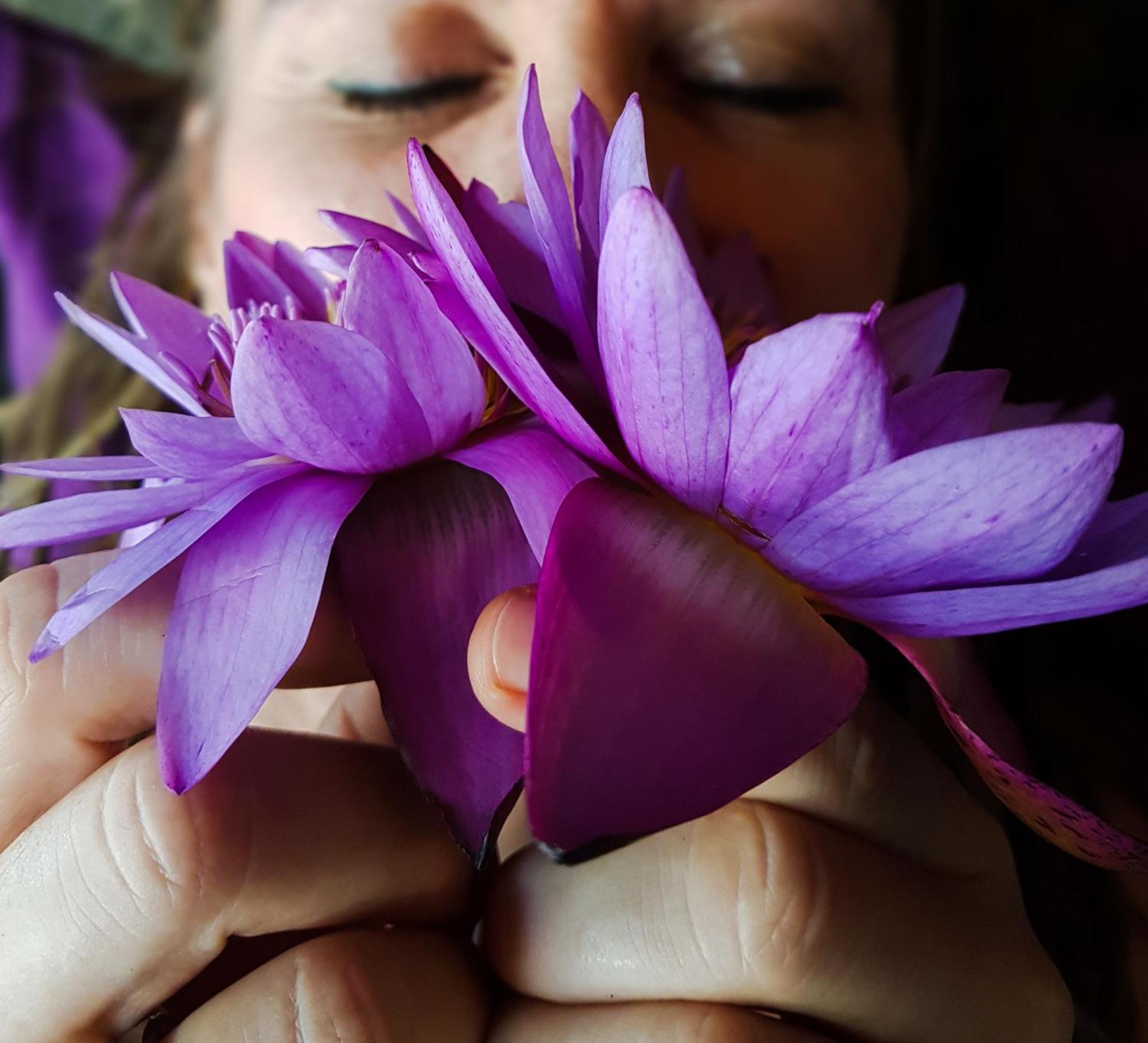 Singharaja Garden Agro Eco Lodge Pelawatta  Dış mekan fotoğraf