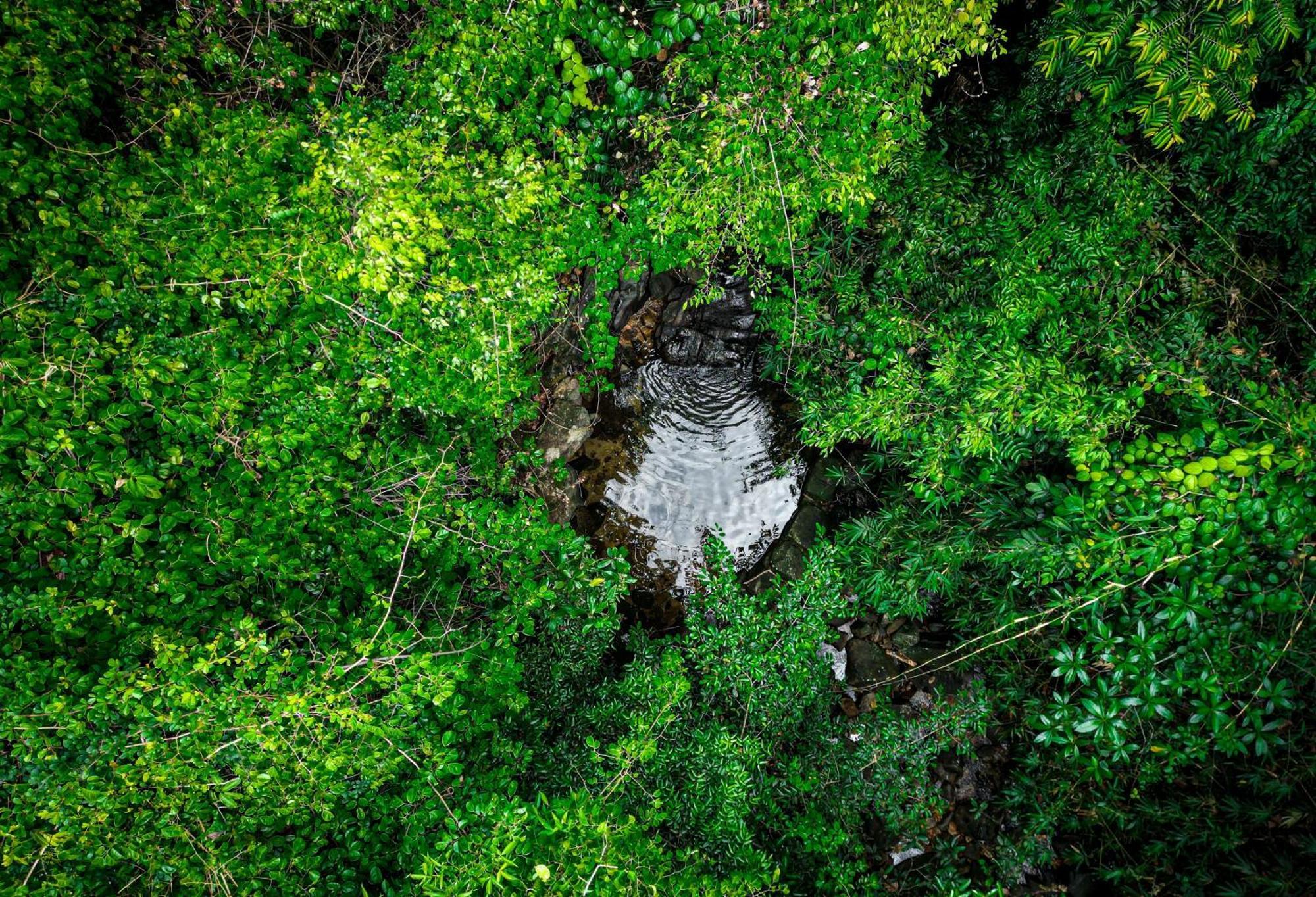 Singharaja Garden Agro Eco Lodge Pelawatta  Dış mekan fotoğraf