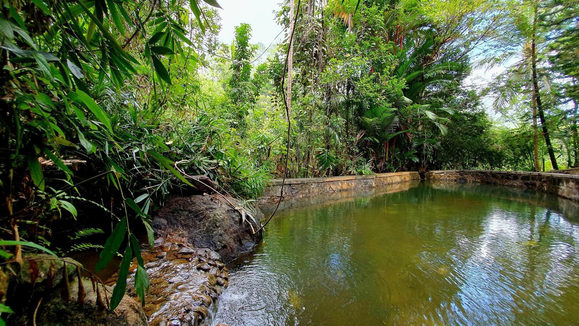 Singharaja Garden Agro Eco Lodge Pelawatta  Oda fotoğraf